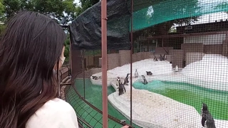 大陸直播主