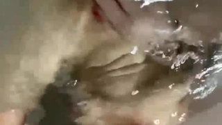 蜗居删减山东夫妻，怀孕的老婆